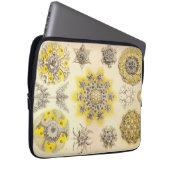 Vintag Haeckel Laptopschutzhülle (Vorne Rechts)
