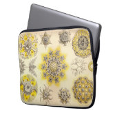 Vintag Haeckel Laptopschutzhülle (Vorderseite Links)