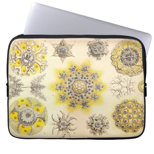 Vintag Haeckel Laptopschutzhülle (Vorderseite)
