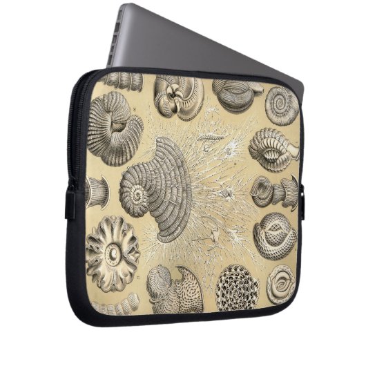 Vintag Haeckel Laptopschutzhülle (Vorne Rechts)