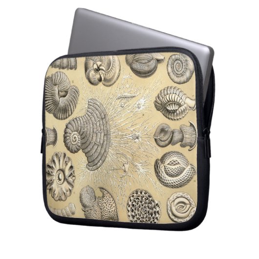 Vintag Haeckel Laptopschutzhülle (Vorderseite Links)