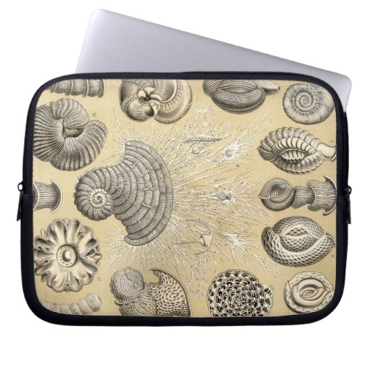Vintag Haeckel Laptopschutzhülle (Vorderseite)