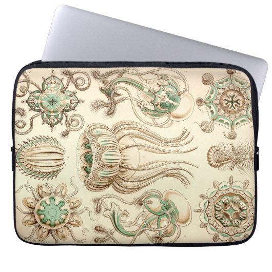 Vintag Haeckel Laptopschutzhülle (Vorderseite)