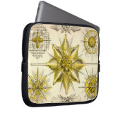 Vintag Haeckel Laptopschutzhülle (Vorne Rechts)