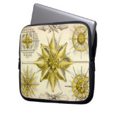 Vintag Haeckel Laptopschutzhülle (Vorderseite Links)