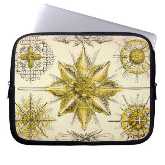 Vintag Haeckel Laptopschutzhülle (Vorderseite)