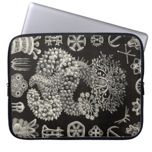 Vintag Haeckel Laptopschutzhülle