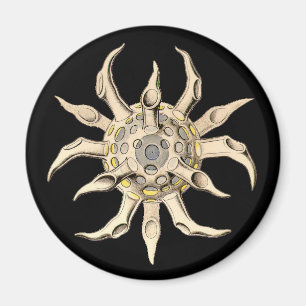 Vintag Haeckel Magnet