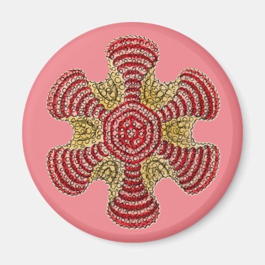 Vintag Haeckel Magnet (Vorne)