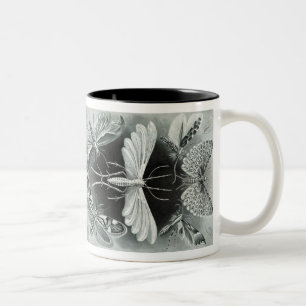 Vintag Haeckel Moth Zweifarbige Tasse
