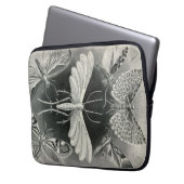 Vintag Haeckel Moths Laptopschutzhülle (Vorderseite Links)