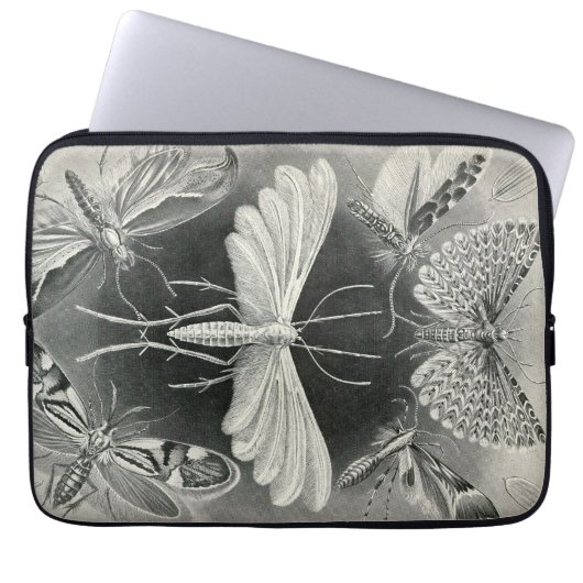 Vintag Haeckel Moths Laptopschutzhülle (Vorderseite)