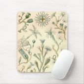 Vintag Haeckel Mousepad (Mit Mouse)