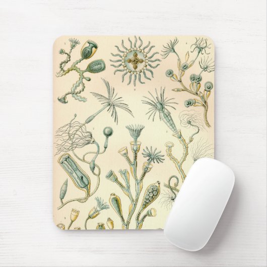 Vintag Haeckel Mousepad (Mit Mouse)