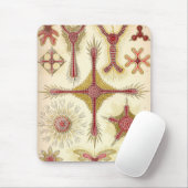 Vintag Haeckel Mousepad (Mit Mouse)