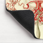 Vintag Haeckel Mousepad (Ecke)