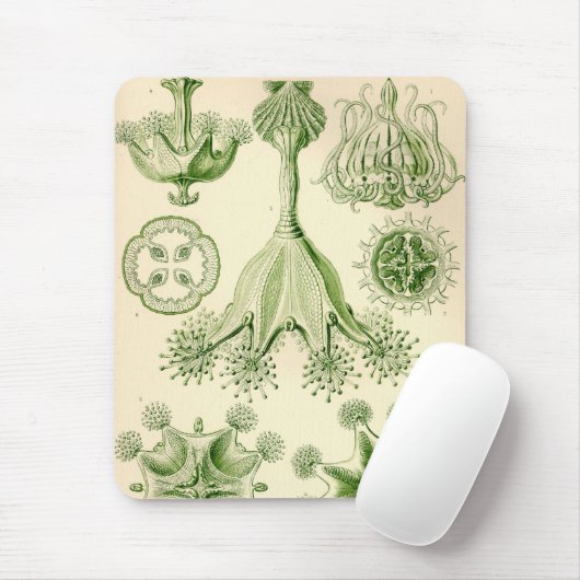 Vintag Haeckel Mousepad (Mit Mouse)