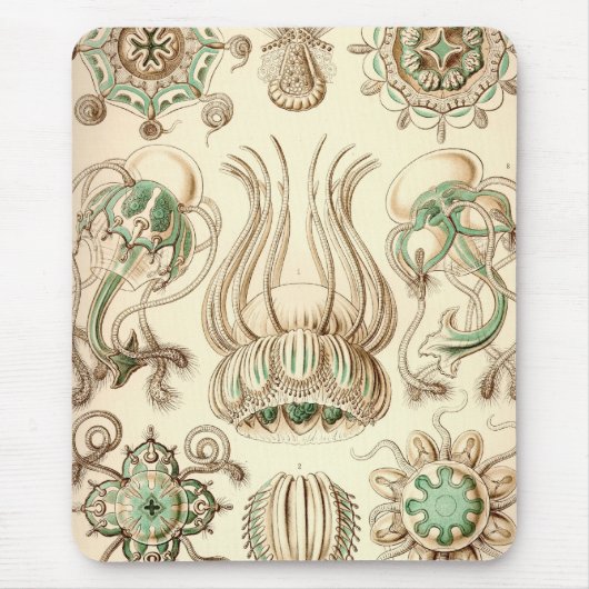 Vintag Haeckel Mousepad (Vorne)