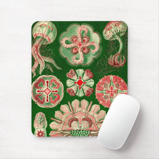 Vintag Haeckel Mousepad (Mit Mouse)