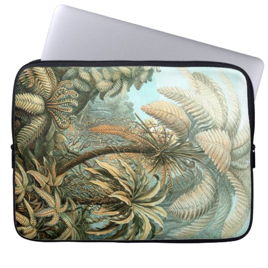 Vintag Haeckel Palm Laptopschutzhülle (Vorderseite)