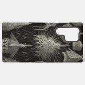 Vintag Haeckel Samsung Galaxy Hülle (Rückseite (Horizontal))