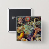 Vintag Haeckel Sea Anemone Button (Vorne & Hinten)