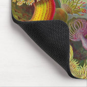 Vintag Haeckel Sea Anemone Mousepad (Ecke)