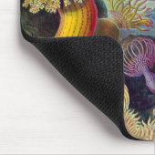 Vintag Haeckel Sea Anemone Mousepad (Ecke)
