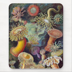 Vintag Haeckel Sea Anemone Mousepad