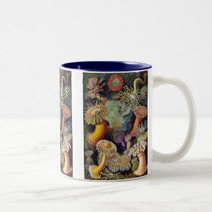 Vintag Haeckel Sea Anemone Zweifarbige Tasse