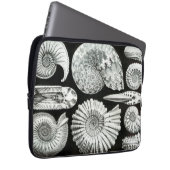 Vintag Haeckel Seashells Laptopschutzhülle (Vorne Rechts)