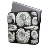 Vintag Haeckel Seashells Laptopschutzhülle (Vorderseite Links)