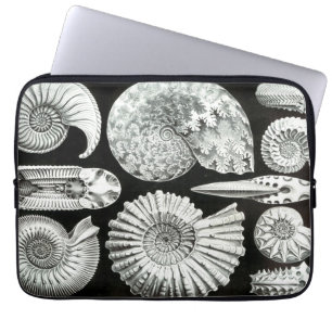 Vintag Haeckel Seashells Laptopschutzhülle