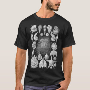 Vintag Haeckel Thalamophora T-Shirt