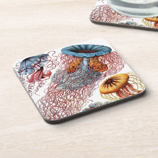 Vintag Haeckel Untersetzer (Linke Seite)