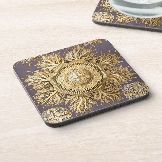 Vintag Haeckel Untersetzer (Linke Seite)