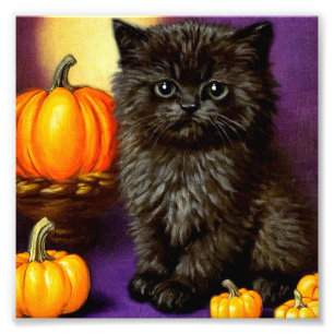 Vintag Halloween Kitten Fotodruck