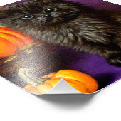 Vintag Halloween Kitten Fotodruck (Ecke)