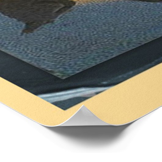 Vintag Halloween Poster (Ecke)