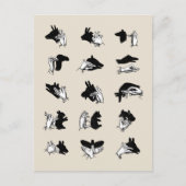Vintag Hand Puppet Shadow Games Postkarte (Vorderseite)