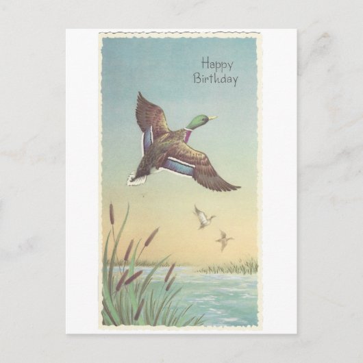 Vintag Happy Birthday Mallard Postkarte (Vorderseite)