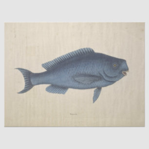 Vintag Happy Blue Fish Ephemera Decoupage Seidenpapier