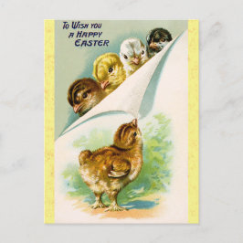 Vintag Happy Oaster Niedlich Chicks Postkarte