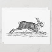 Vintag Hare Bunny Rabbit 1800s Illustration (Vorne/Hinten)