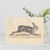 Vintag Hare Bunny Rabbit 1800s Illustration (Stehend Vorderseite)