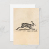 Vintag Hare Bunny Rabbit 1800s Illustration (Vorne/Hinten)