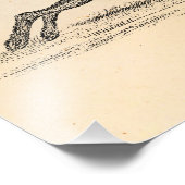 Vintag Hare Bunny Rabbit 1800s Illustration Fotodruck (Ecke)