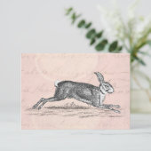 Vintag Hare Bunny Rabbit Illustration - Kaninchen (Stehend Vorderseite)