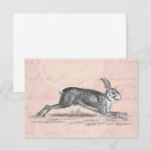 Vintag Hare Bunny Rabbit Illustration - Kaninchen (Vorne/Hinten)