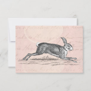 Vintag Hare Bunny Rabbit Illustration - Kaninchen